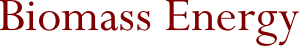 Biomass Energy